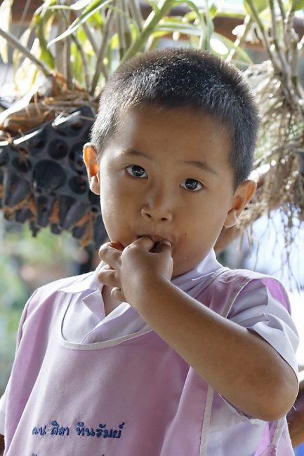 Famille et amis NOV12-055